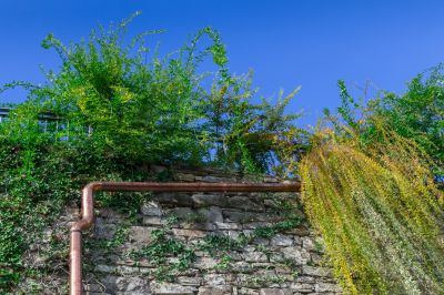 Common Pitfall to Avoid