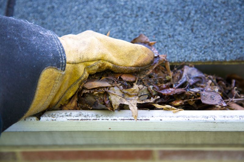 Clogged Residential Gutters