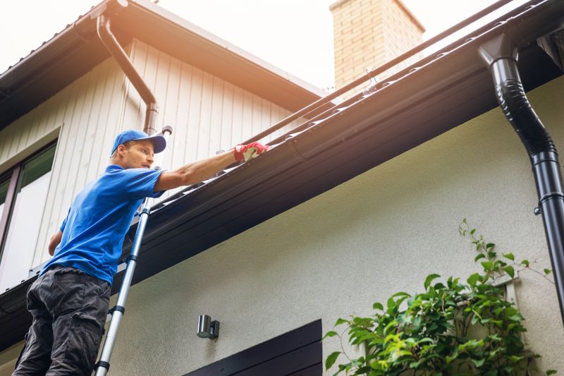 High-Rise Gutter Maintenance